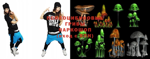 ПСИЛОЦИБИНОВЫЕ ГРИБЫ Алексеевка