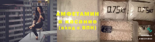 шишки Алексин