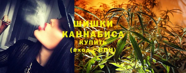 ПСИЛОЦИБИНОВЫЕ ГРИБЫ Алексеевка