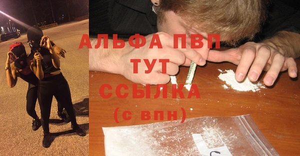 шишки Алексин