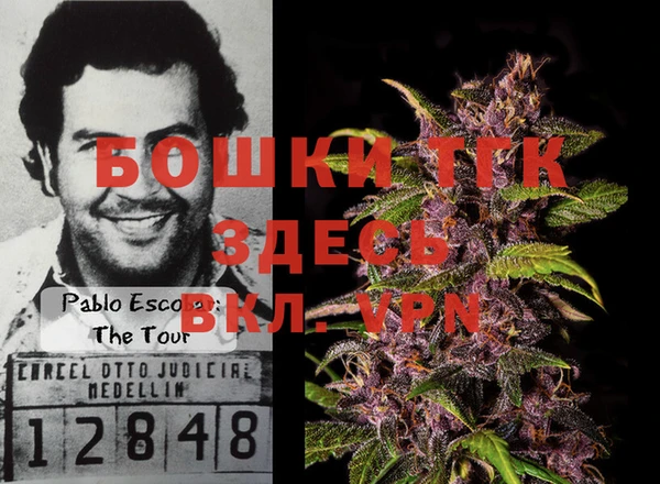 шишки Алексин