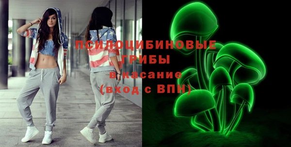 ПСИЛОЦИБИНОВЫЕ ГРИБЫ Алексеевка