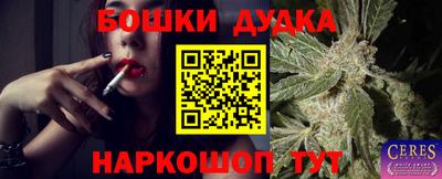 стаф Рязань