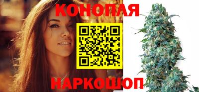 стаф Рязань