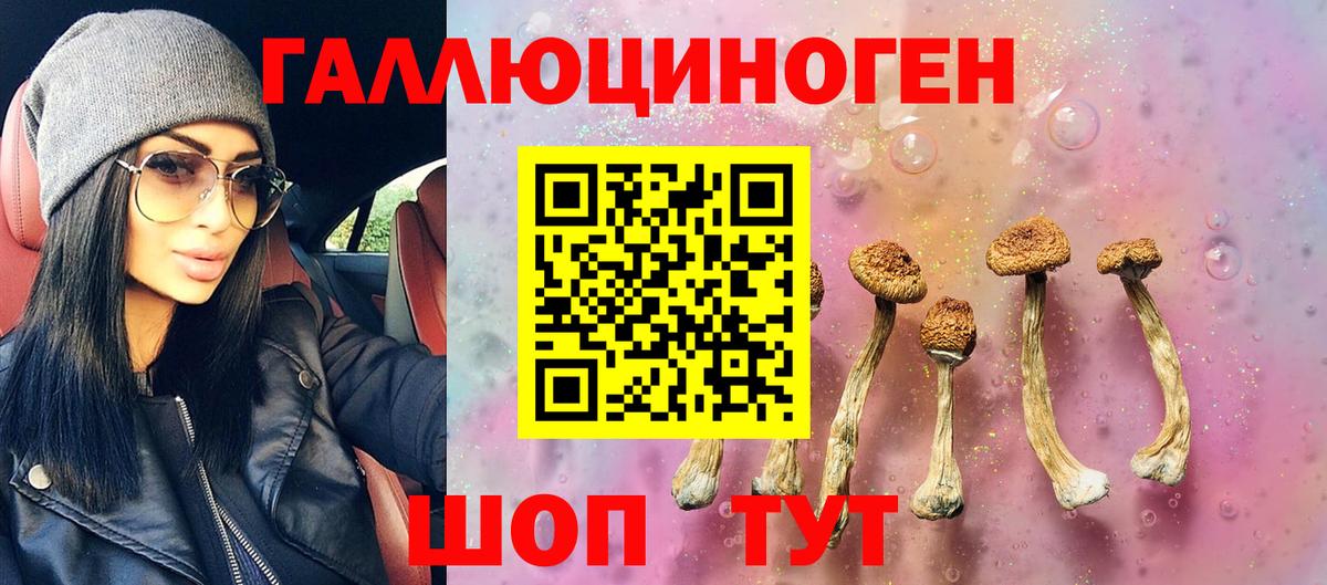 Татарск  Галлюциногенные грибы ЛСД  Вход с VPN 